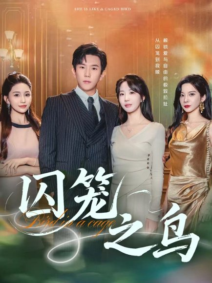 【囚笼之鸟（52集）程澄&彭丹丹（彭呆呆）】高清完整版