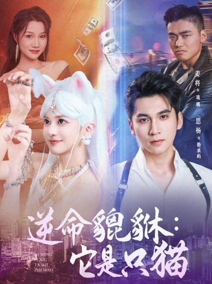 逆命貔貅：它是只猫&逆命貔貅它是只猫 (35集) 姜将 高清完整版