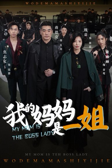 我的妈妈是一姐（62集）焦志文&魏嘉 高清完整版