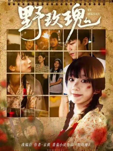 野玫瑰（82集）钊瑞＆象韵洁 高清完整版