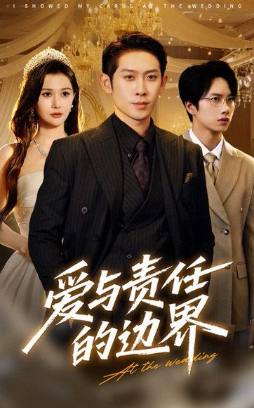 爱与责任的边界（35集）彭羽&王新颖 高清完整版