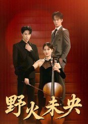 野火未央（40集）张旭&刘畅 高清完整版