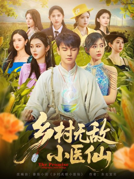 乡村无敌小医仙（87集）步籽颖&唐雪晴 高清完整版