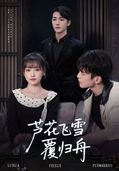 芦花飞雪覆归舟（77集）李咏靖&武伯言 高清完整版