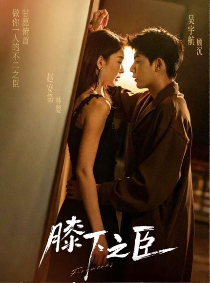 膝下之臣（56集）赵安第&吴宇航 高清完整版