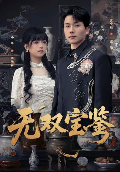 无双宝鉴（80集）张小磊＆邓靖 高清完整版