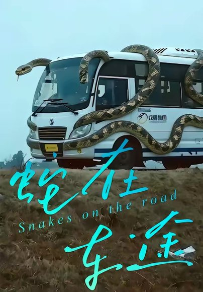 蛇在车途（34集）何子茜＆熊月良 高清完整版