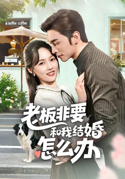 老板非要和我结婚怎么办（50集）王博&李媛菁 高清完整版