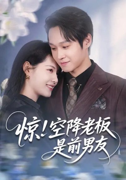 惊！空降老板是前男友（65集）董洁&王金泽 高清完整版