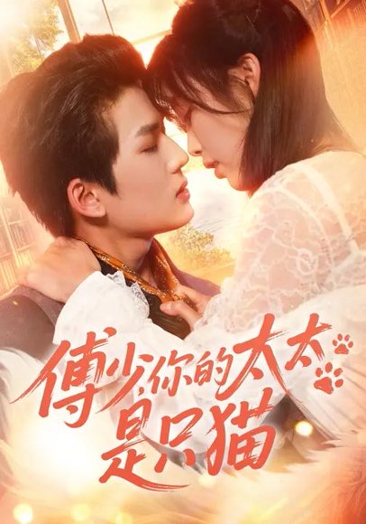 傅少，你的太太是只猫（64集）赵偲佟&向明 高清完整版