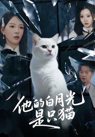 他的白月光是只猫（69集）陈家豪＆葛晓希 高清完整版