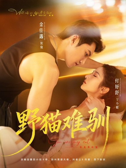 野猫难驯（73集）金佳遇＆付妤舒 高清完整版