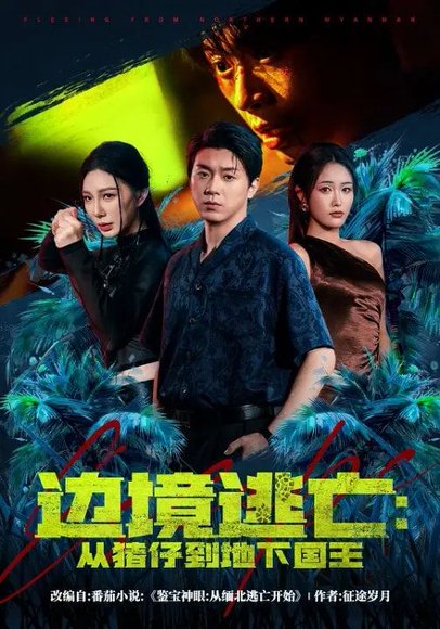 边境逃亡：从猪仔到地下国王（81集）刘洋珂&刘星辰 高清完整版