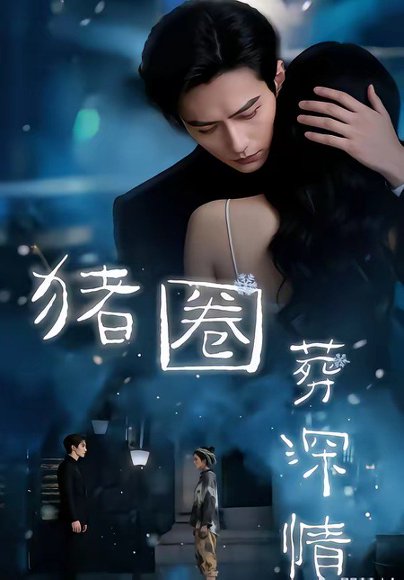 猪圈葬深情（37集） 高清完整版