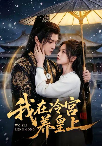 我在冷宫养皇上（45集） 高清完整版